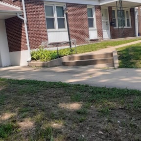Bush Trimming by RTH Lawn Service & Landscaping LLC reviewed on August 17, 2025