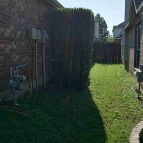 Bush Trimming by Lawn Care Osorto reviewed on August 21, 2025