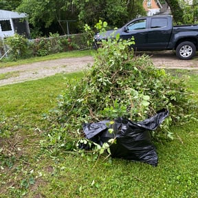 lawn care by Text 2 Cut Lawn Care LLC reviewed on July 21, 2023