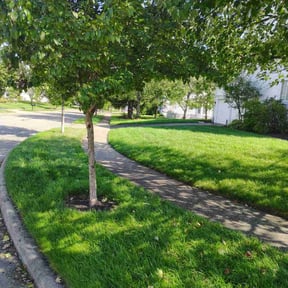 yard maintenance by Yards Done Daily reviewed on November 23, 2025