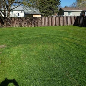 landscaping services by Jstotalservices reviewed on August 16, 2025