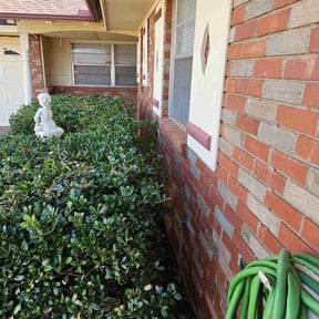 Bush Trimming by Joshua's landscaping reviewed on August 18, 2025