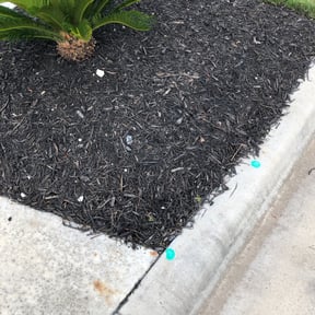 Flower Bed Weeding by Mikes Lawn Service reviewed on August 19, 2025