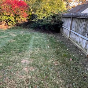 Leaf Removal by Charles &amp; Sons LLC reviewed on November 10, 2025