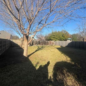 Leaf Removal by Rodriguez Lawn Care LLC reviewed on December 29, 2025