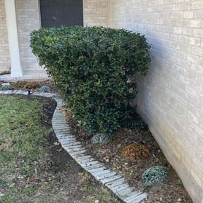 Bush Trimming by Easy n&#039; green landscape reviewed on November 27, 2025