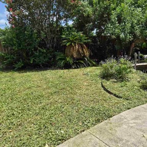 Flower Bed Weeding by Tidy Trim reviewed on June 27, 2026