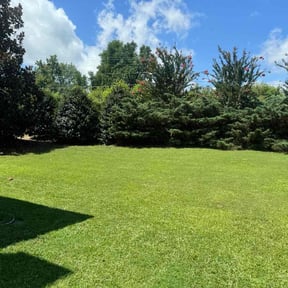 yard maintenance by J&M Landscaping reviewed on August 16, 2025