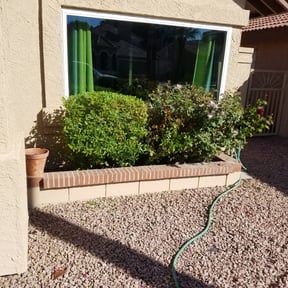 Bush Trimming by Dbs landscaping and lawn care reviewed on August 18, 2025