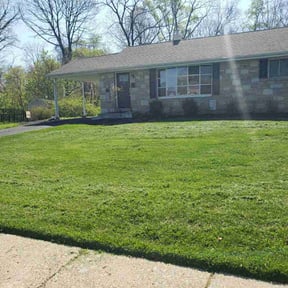 yard maintenance by FC landscaping reviewed on August 19, 2025
