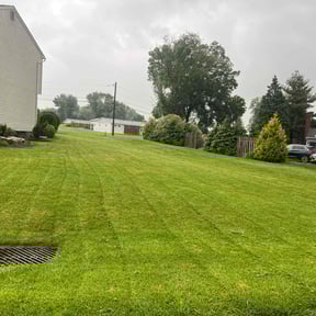 grass maintenance by NJS Mow&Snow reviewed on June 21, 2023