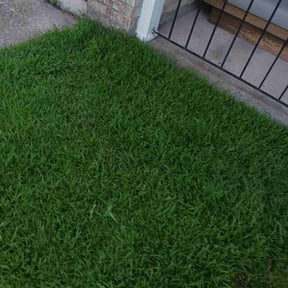 landscaping by The Boot Lawn Care reviewed on August 18, 2025