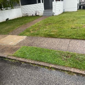 lawn care by Abney's lawncare reviewed on May 16, 2024