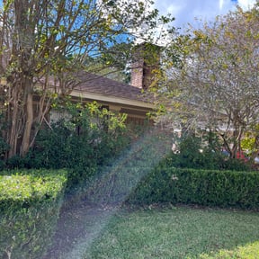 Bush Trimming by FaithOverFear landscaping reviewed on August 20, 2025