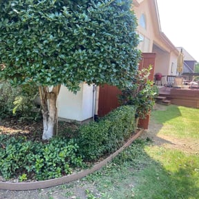 Bush Trimming by Lawn Pro grounds management reviewed on August 16, 2025