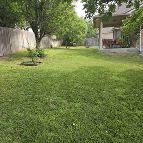 grass maintenance by C&J Landscaping reviewed on August 20, 2025