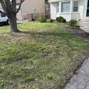 Leaf Removal by Simple lawn care reviewed on October 14, 2026
