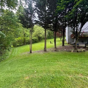 landscaping by Nature Baby's Lawn Maitenace reviewed on August 21, 2025