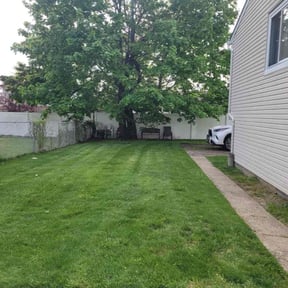 grass maintenance by Harvey Handy &amp; Lawn reviewed on July 4, 2025