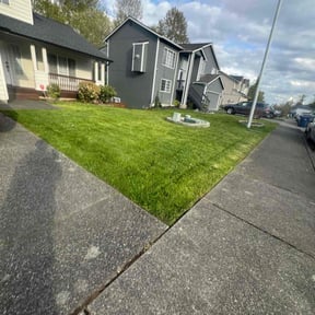 lawn care by Pacific Grove Pruning Co reviewed on May 28, 2025