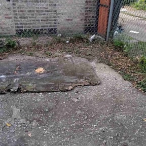 Leaf Removal by Willie&#039;s Mobile Lawn Services reviewed on September 10, 2025