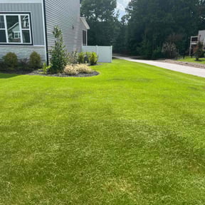 landscaping services by Mammoth Lawn Care reviewed on August 16, 2025