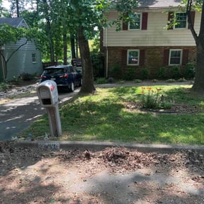 Bush Trimming by Fidel & Sons Lawncare reviewed on August 15, 2025