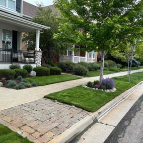 gardening service by Pitts' Perfect Lawns reviewed on August 18, 2025