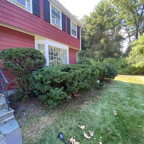 Bush Trimming by Get Her Done Lawn Service reviewed on October 22, 2025