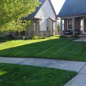 landscape maintenance by Green Earth Lawn and snow LLC reviewed on August 21, 2025