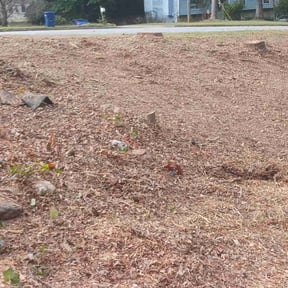 Leaf Removal by 281 Handyman &amp; Lawn Care reviewed on November 4, 2025