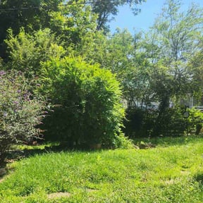 Bush Trimming by Dura Yard Service reviewed on August 21, 2025