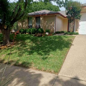 yard work by Mow Pro&#039;s Lawn Tree Service reviewed on November 23, 2025