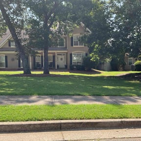 yard care by Logan Bowes reviewed on April 20, 2022