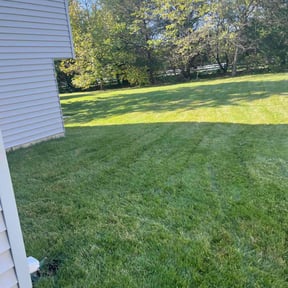turf care by J&M Landscaping reviewed on April 27, 2025
