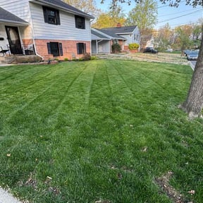 yard work by Deshawns landscaping reviewed on November 18, 2025