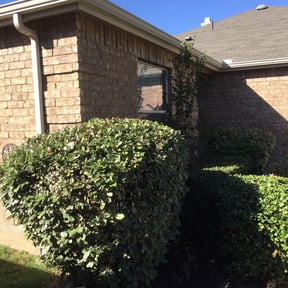 Bush Trimming by Smith landscaping reviewed on August 16, 2025