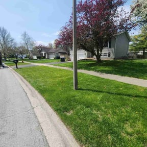 lawn service by The Marchetti Method reviewed on July 26, 2025