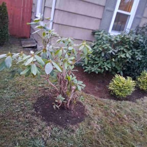 Flower Bed Weeding by Ramirez reviewed on March 27, 2026