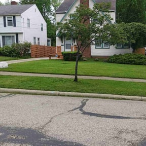turf maintenance by Davis Landscaping reviewed on April 30, 2024