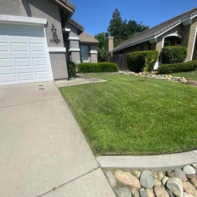 yard work by Ace lawn service reviewed on October 4, 2021