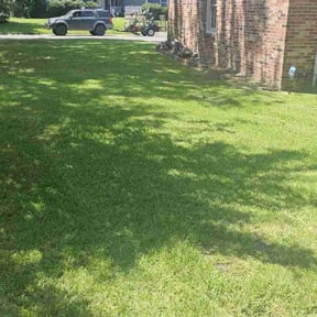 lawn maintenance by Papa Sonz Yard Maintenance reviewed on June 2, 2021