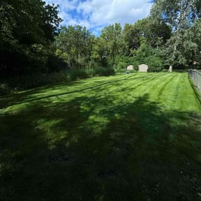 lawn service by VonBerge Family Lawncare reviewed on July 3, 2025