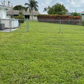 yard service by Smith Solves Situations LLC reviewed on August 18, 2025