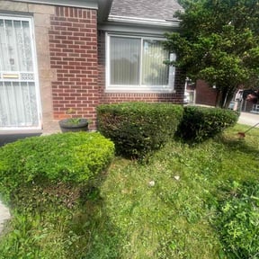 Bush Trimming by A+ Lamonds lawn&landscape reviewed on August 16, 2025