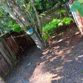 Leaf Removal by JBI Property Service LLC reviewed on October 1, 2025