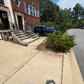 Bush Trimming by Mightyfine professional  services reviewed on November 10, 2025