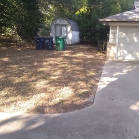 Leaf Removal by Efficitex Solutions LLC reviewed on August 18, 2025