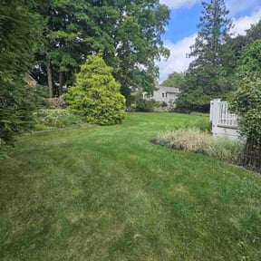 yard care by Hope Lawn Care reviewed on May 16, 2024