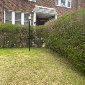 Bush Trimming by T&amp;M Lawn Services reviewed on May 8, 2024